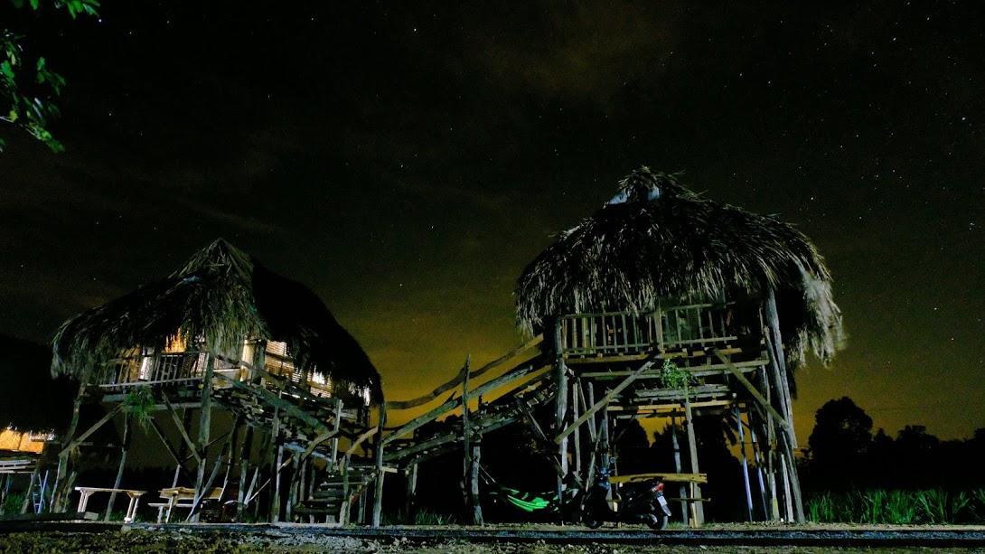 Sunny Field Eco Stilt House Villa Cat Tien Bagian luar foto