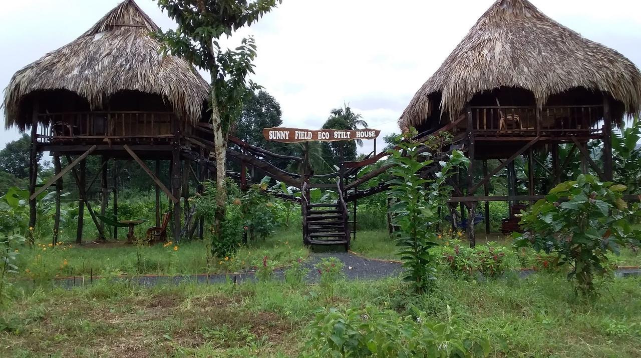 Sunny Field Eco Stilt House Villa Cat Tien Bagian luar foto