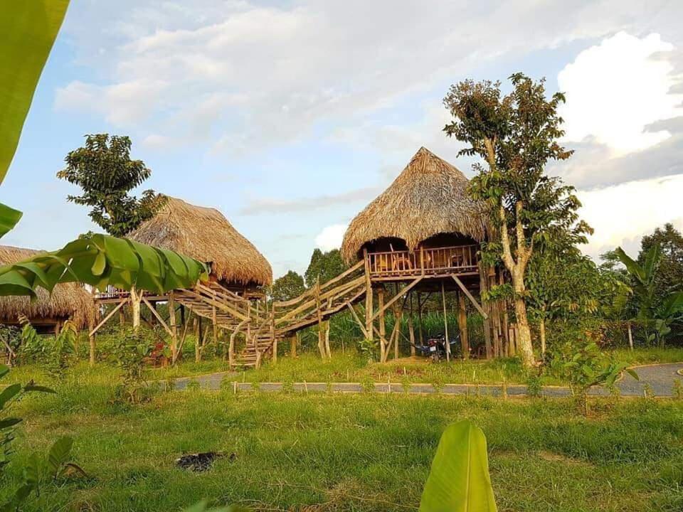 Sunny Field Eco Stilt House Villa Cat Tien Bagian luar foto